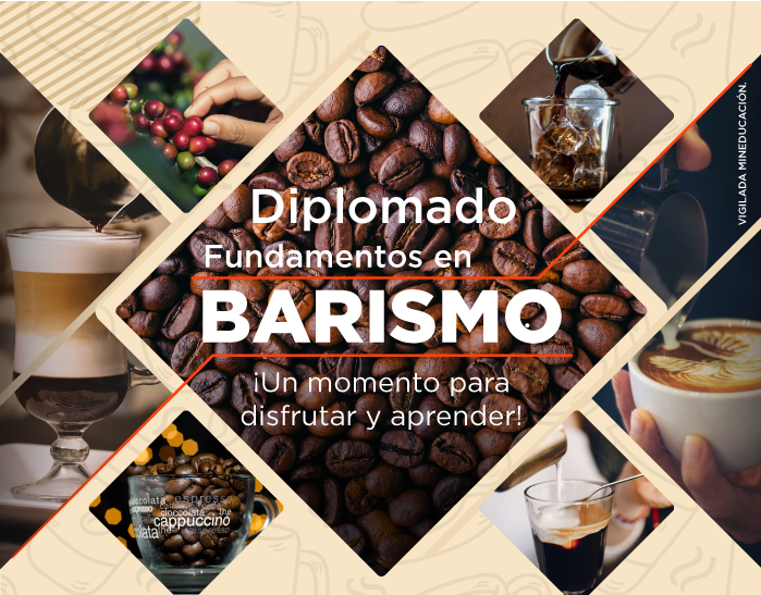 Diplomado - Barismo